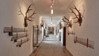 museo caccia wolfsthurn mareta