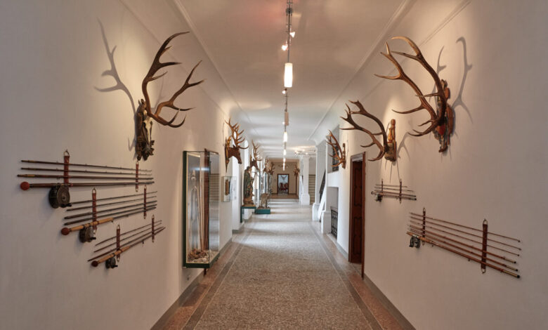 museo caccia wolfsthurn mareta