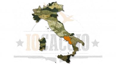Caccia in Campania Calendario Venatorio Campania 2016