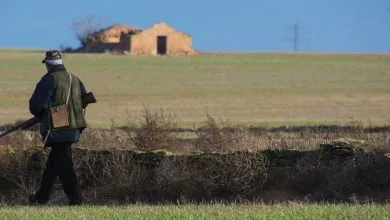 Osservazioni calendario venatorio Toscana legge sul disturbo venatorio