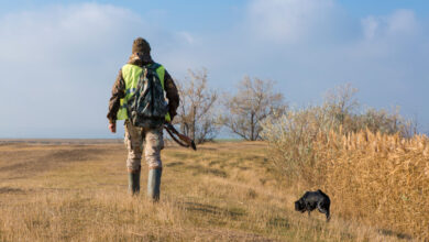 Lombardia modifiche legge caccia