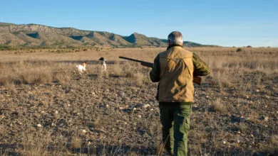 Sicilia apertura caccia Caccia risposta governo La regione Calabria ha un PFVR ormai vecchio di 17 anni la cui incidenza ambientale non è mai stata valutata, e per questo il TAR ha deciso di sospendere in via cautelare la caccia nelle "Aree Nature 2000" e nelle zone di protezione speciale, in attesa che la regione sottoponga il calendario al VINCA. Calabria calendario venatorio 2021