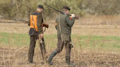 Caccia Veneto TAR Calendario venatorio sicilia 2021