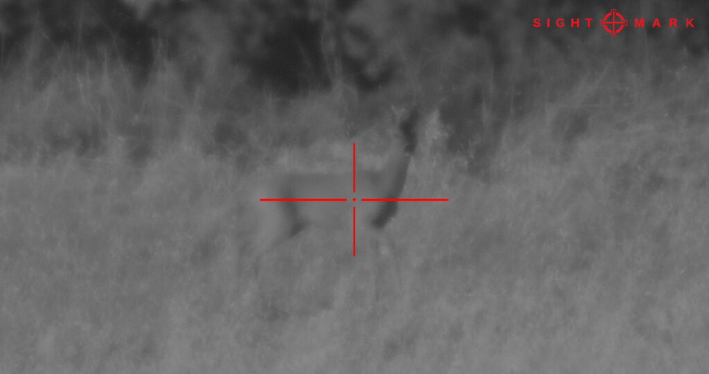 Immagine notturna ottenuta con il Sightmark Wraith 4K Mini, zoom 6x, distanza 150 metri
