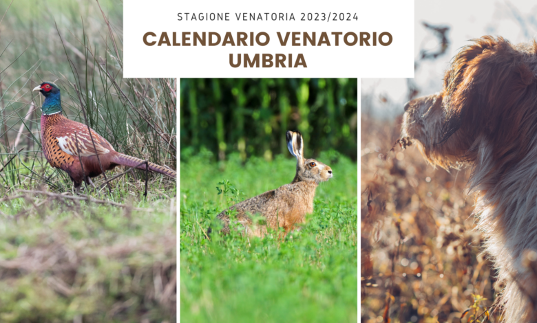 Calendario venatorio Umbria