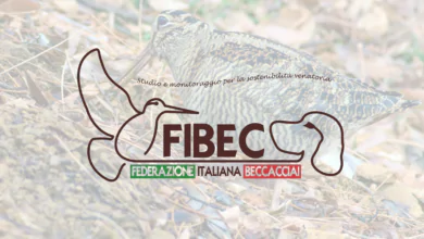 FIBEC