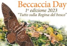 Beccaccia day