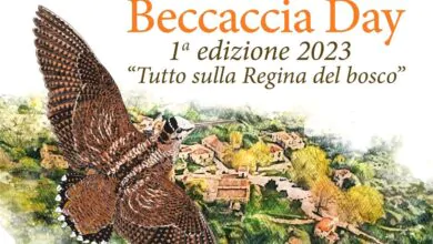 Beccaccia day