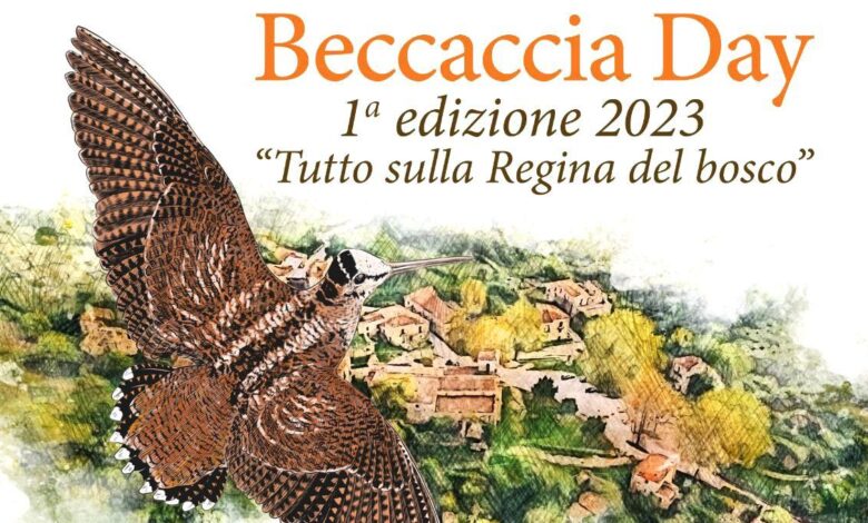 Beccaccia day