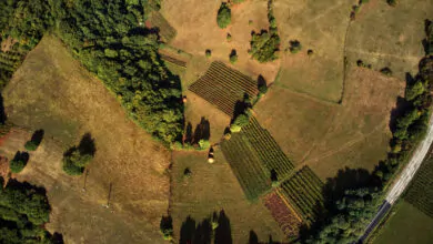 Vista dall'alto di campi che potrebbero essere interessati dalla nuova Legge sul ripristino natura