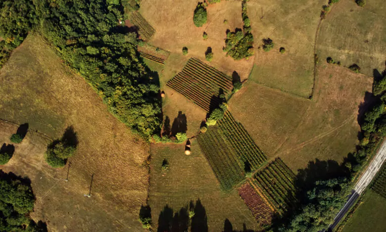 Vista dall'alto di campi che potrebbero essere interessati dalla nuova Legge sul ripristino natura