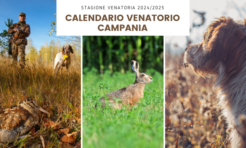 Calendario venatorio Campania 20242025 • IoCaccio.it