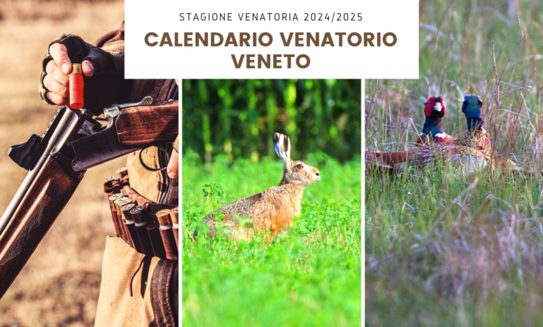 Calendario venatorio Veneto